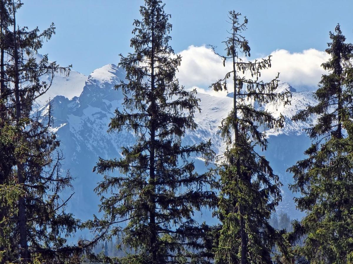 Willabukovinka - Bliskosc Lasu, Wyciagow I Term, Atrakcje Dla Dzieci, Znizki Na Wyciagi, Termy, Karczmy I Atrakcje Bukowina Tatrzańska Buitenkant foto