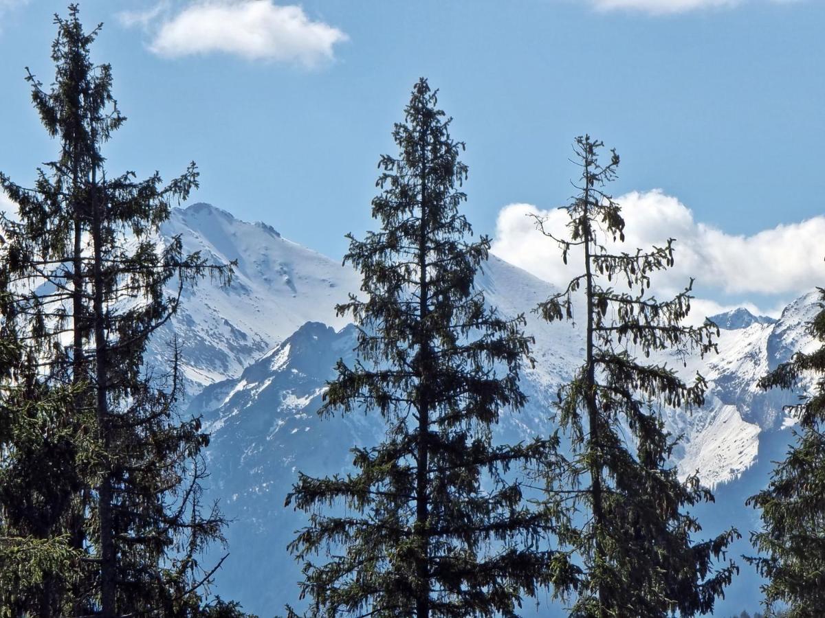 Willabukovinka - Bliskosc Lasu, Wyciagow I Term, Atrakcje Dla Dzieci, Znizki Na Wyciagi, Termy, Karczmy I Atrakcje Bukowina Tatrzańska Buitenkant foto