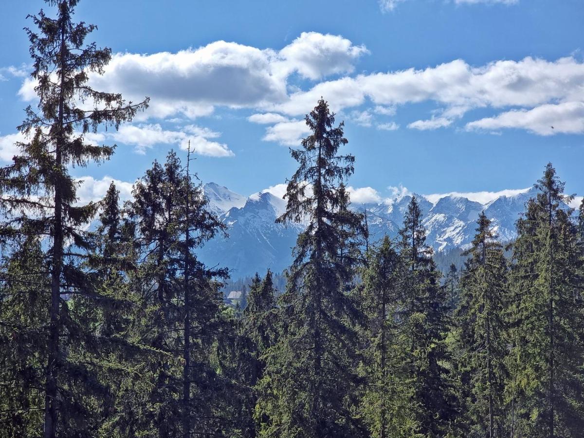 Willabukovinka - Bliskosc Lasu, Wyciagow I Term, Atrakcje Dla Dzieci, Znizki Na Wyciagi, Termy, Karczmy I Atrakcje Bukowina Tatrzańska Buitenkant foto