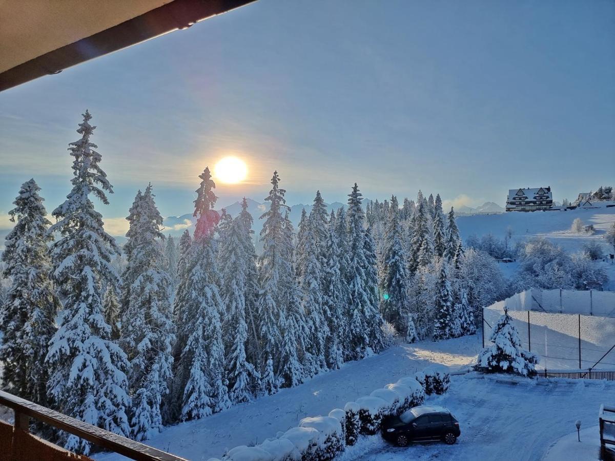 Willabukovinka - Bliskosc Lasu, Wyciagow I Term, Atrakcje Dla Dzieci, Znizki Na Wyciagi, Termy, Karczmy I Atrakcje Bukowina Tatrzańska Buitenkant foto