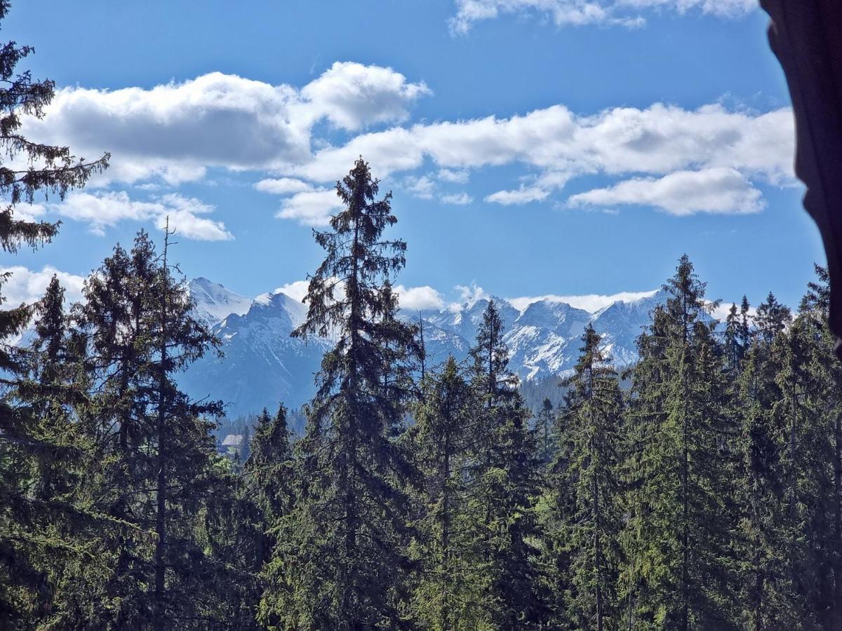 Willabukovinka - Bliskosc Lasu, Wyciagow I Term, Atrakcje Dla Dzieci, Znizki Na Wyciagi, Termy, Karczmy I Atrakcje Bukowina Tatrzańska Buitenkant foto
