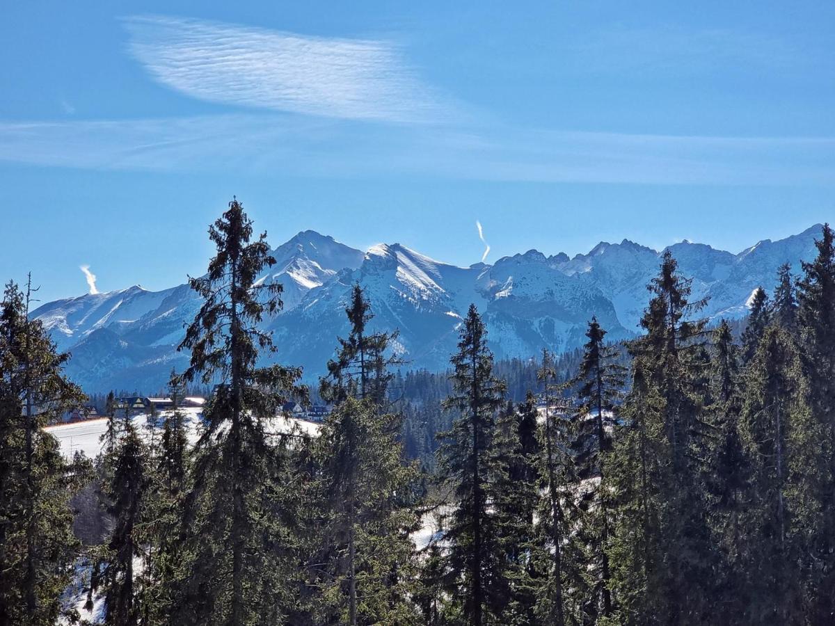 Willabukovinka - Bliskosc Lasu, Wyciagow I Term, Atrakcje Dla Dzieci, Znizki Na Wyciagi, Termy, Karczmy I Atrakcje Bukowina Tatrzańska Buitenkant foto