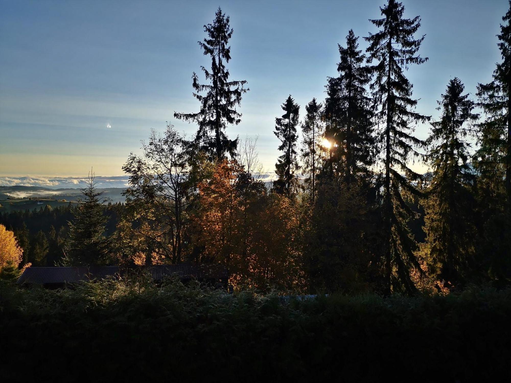 Willabukovinka - Bliskosc Lasu, Wyciagow I Term, Atrakcje Dla Dzieci, Znizki Na Wyciagi, Termy, Karczmy I Atrakcje Bukowina Tatrzańska Buitenkant foto