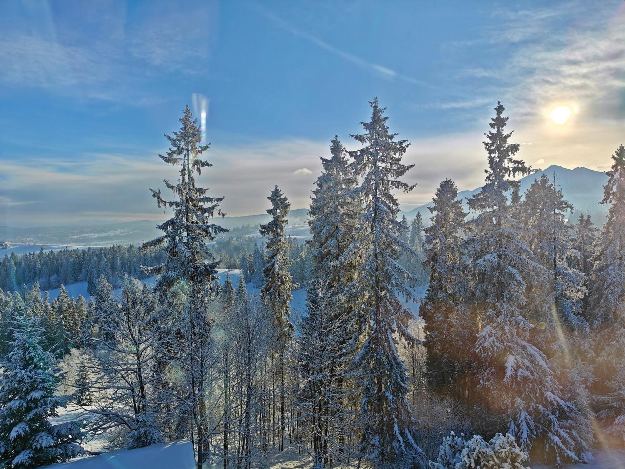 Willabukovinka - Bliskosc Lasu, Wyciagow I Term, Atrakcje Dla Dzieci, Znizki Na Wyciagi, Termy, Karczmy I Atrakcje Bukowina Tatrzańska Buitenkant foto